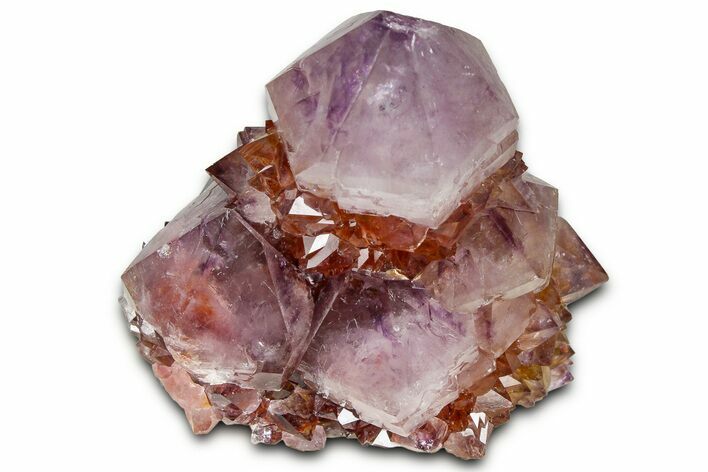 Deep-Purple Cactus Amethyst Crystal Cluster - South Africa #364620